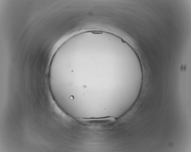 X0000114011536200910231803