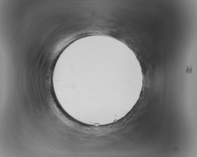 X0000114010005200911131215