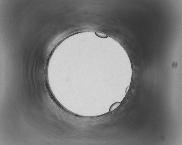 X0000114010007200911131214