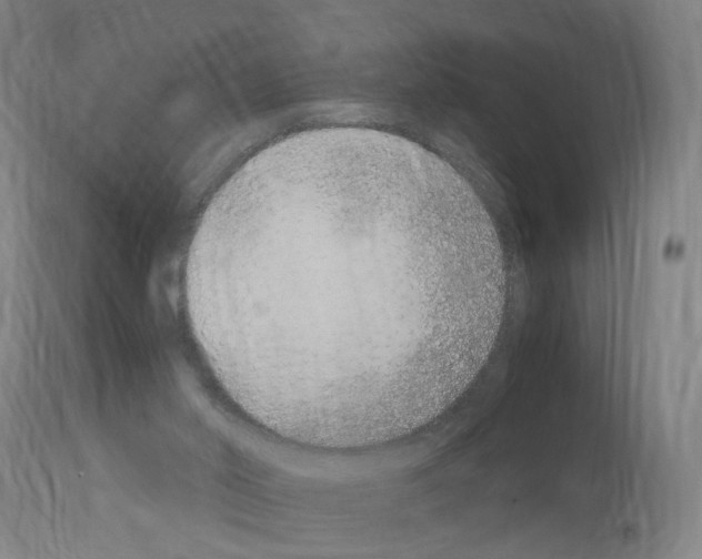 X0000114010014200911131214