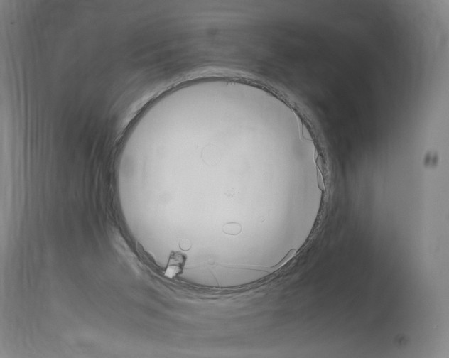 X0000114010015200911131214
