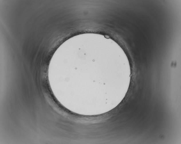 X0000114010017200911131214