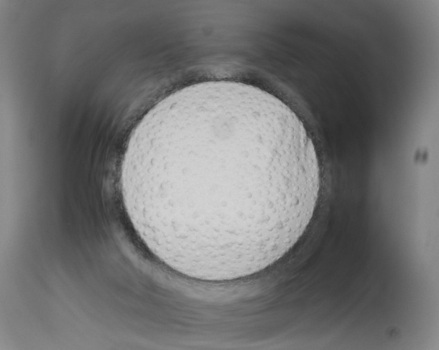 X0000114010018200911131214