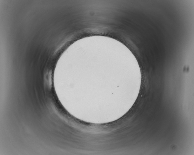 X0000114010020200911131214