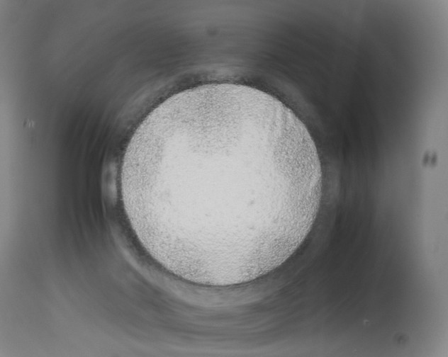 X0000114010022200911131214