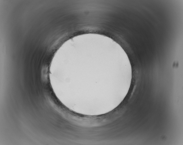 X0000114010024200911131214