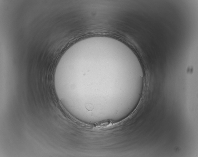X0000114010025200911131214
