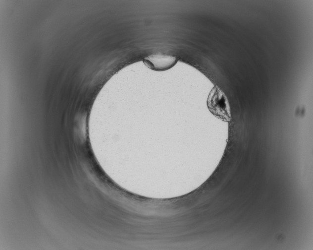 X0000114010028200911131214