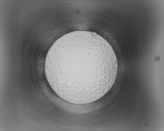X0000114010030200911131214