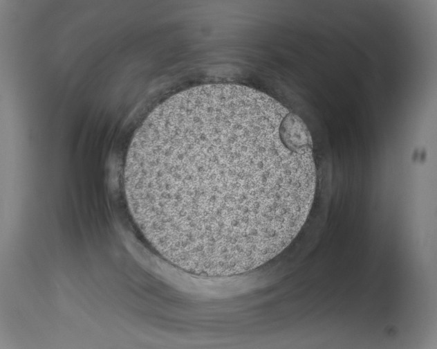 X0000114010038200911131214