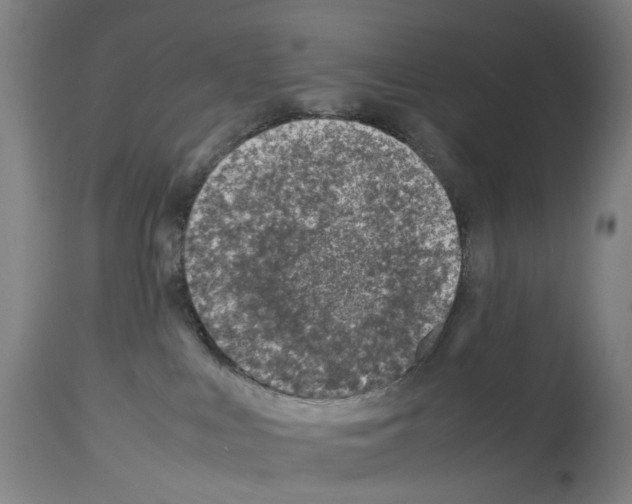 X0000114010043200911131214