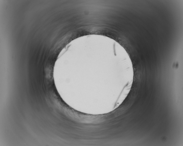X0000114010044200911131214