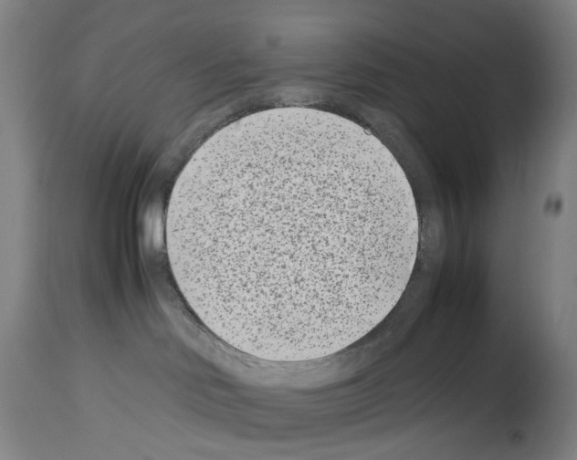 X0000114010046200911131214