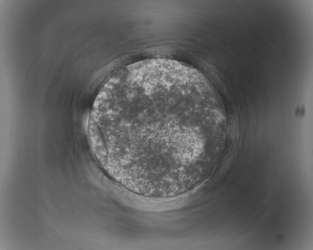 X0000114010047200911131214