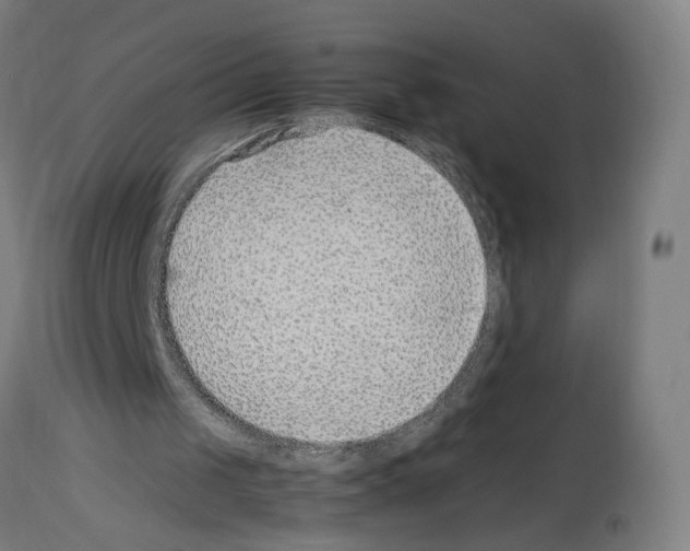 X0000114010049200911131213