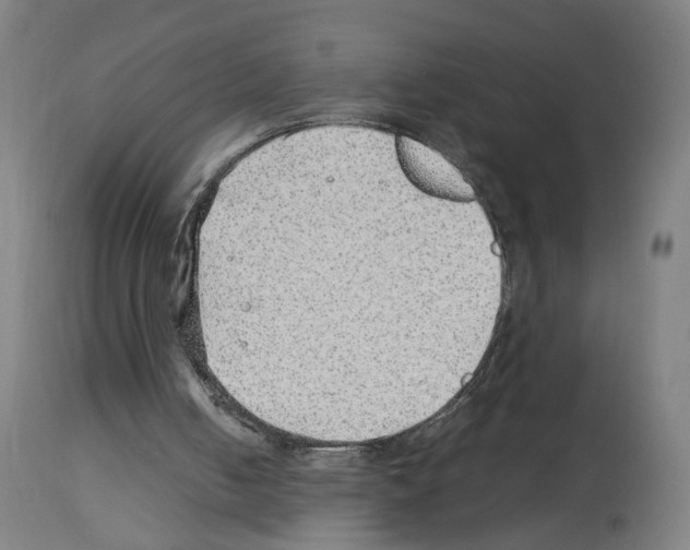 X0000114010050200911131213