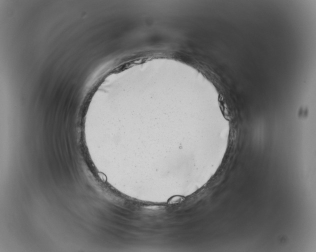 X0000114010053200911131213