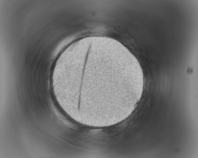 X0000114010054200911131213
