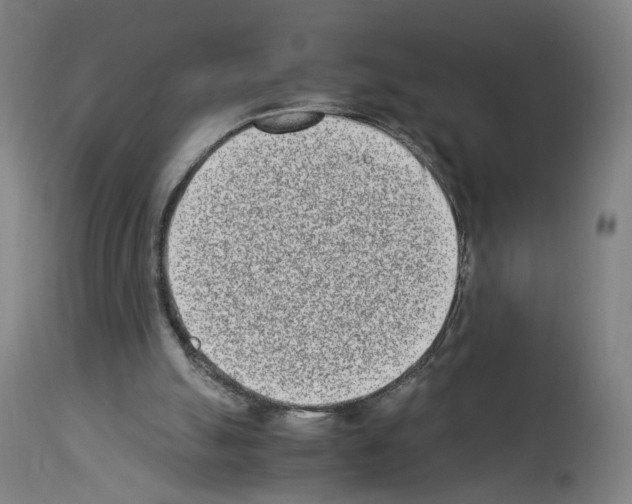 X0000114010055200911131213