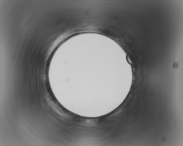 X0000114010056200911131213