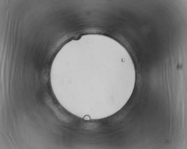 X0000114010063200911131213