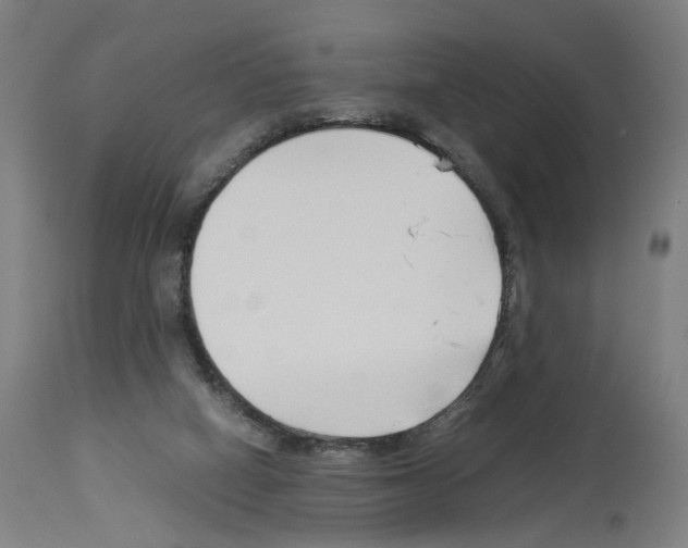 X0000114010066200911131213