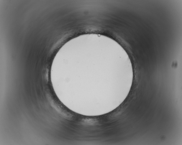 X0000114010067200911131214