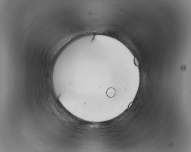 X0000114010068200911131214