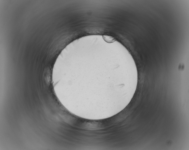 X0000114010069200911131214