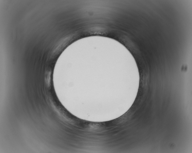 X0000114010070200911131214
