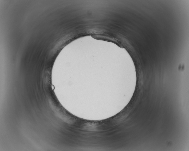 X0000114010071200911131214