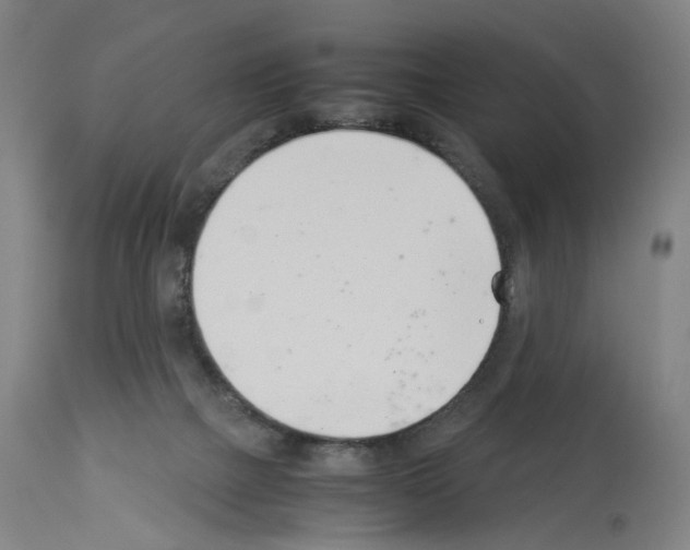 X0000114010073200911131214