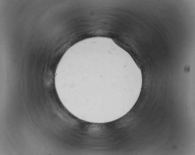 X0000114010077200911131214