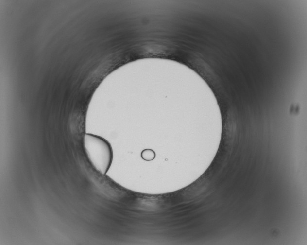 X0000114010079200911131214
