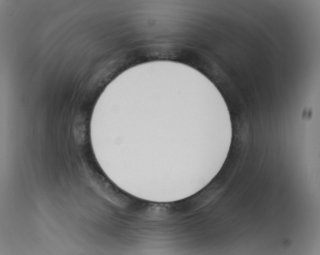 X0000114010080200911131214