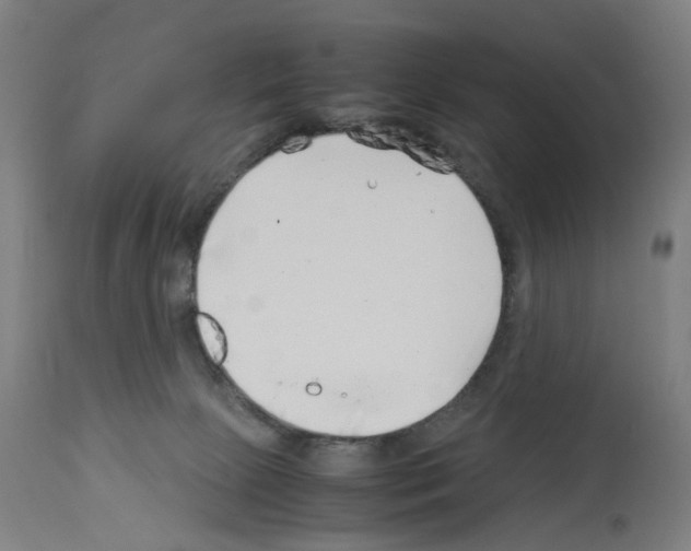 X0000114010081200911131214