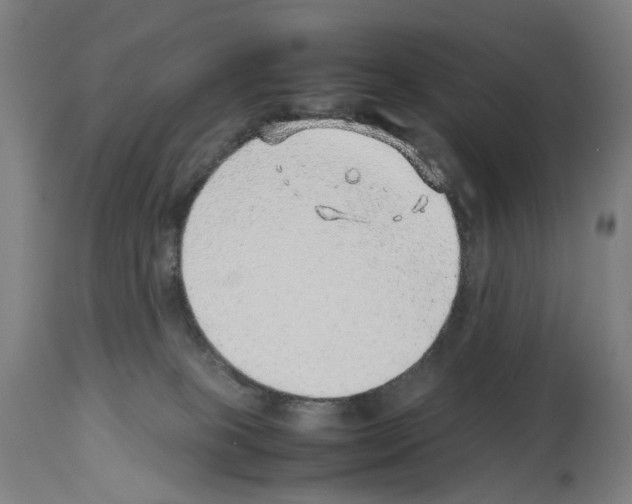 X0000114010085200911131214