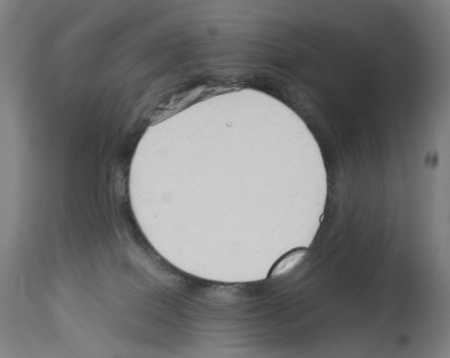 X0000114010086200911131214