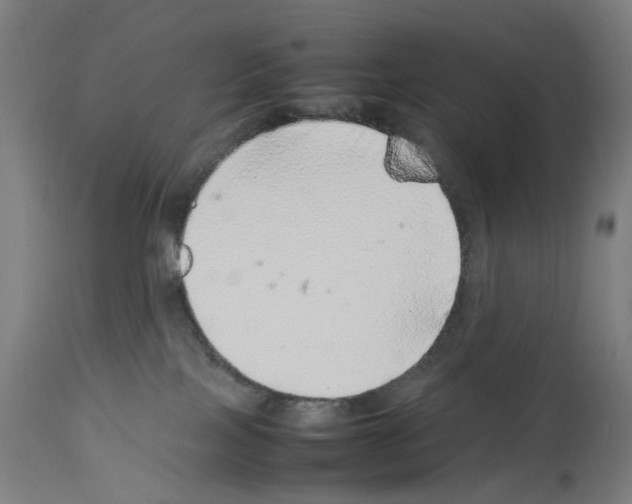 X0000114010089200911131214
