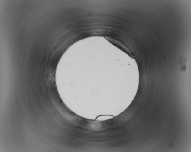 X0000114010091200911131214