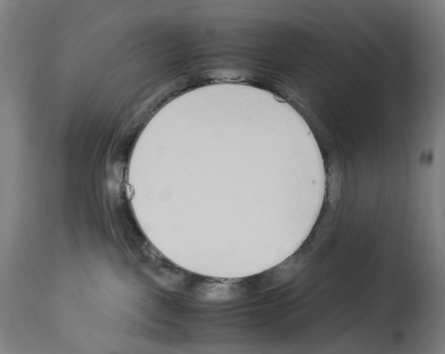 X0000114010093200911131214