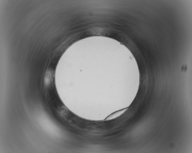 X0000114010095200911131214