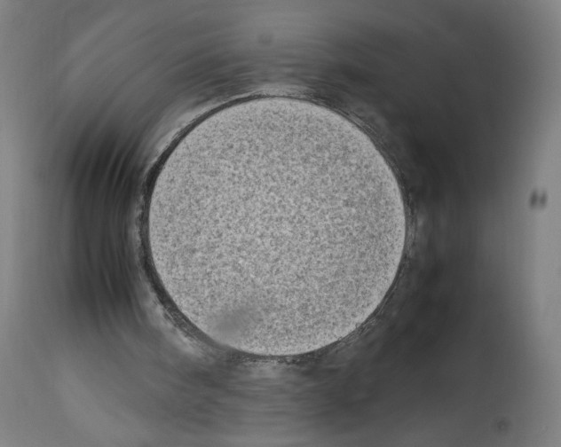 X0000114010098200911131213