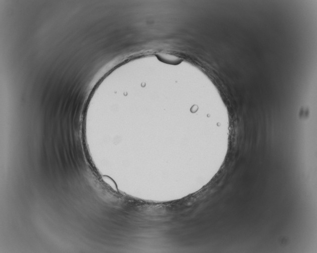 X0000114010100200911131213