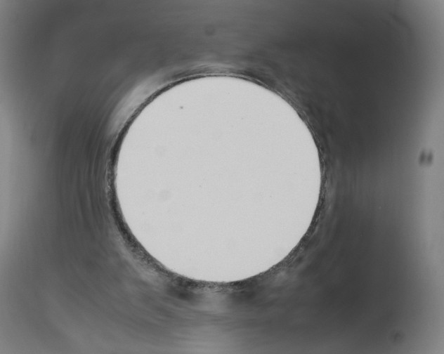 X0000114010103200911131213