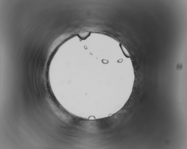 X0000114010104200911131213