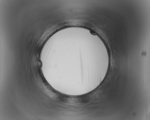 X0000114010105200911131213