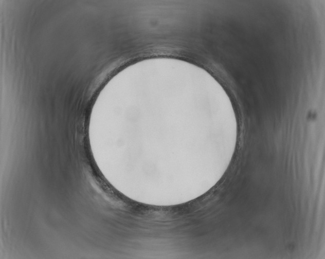 X0000114010107200911131213