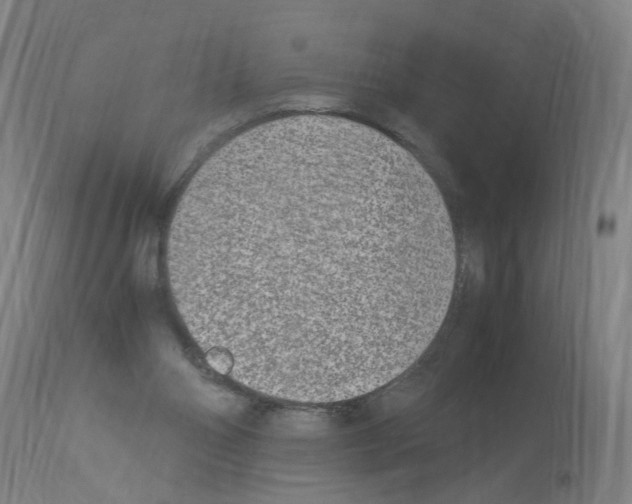 X0000114010110200911131213