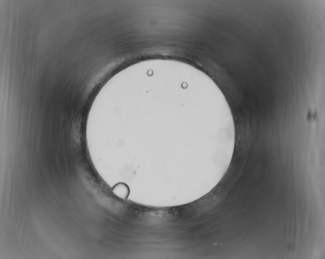 X0000114010112200911131213